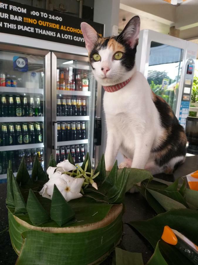 Us Hostel Samui Bophut Eksteriør billede